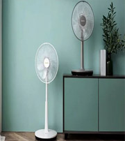 白沙当心！别贪图夏日的“凉爽”而赶走了你的财运