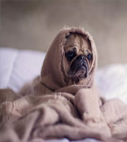 白沙有这样的手机号码，留不住钱，你中枪了吗？