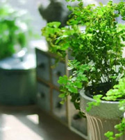 白沙专属于你的开运指南，助你鸿运当头福满身！