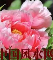 白沙预示你财运上升，姻缘可成的梦境，快来看看吧！