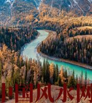 白沙财星旺就真的能发财吗?