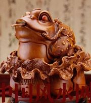 白沙解读金蟾最合适的位置，这样摆放更招财！