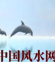 白沙做梦梦到这些，是要富裕的征兆！