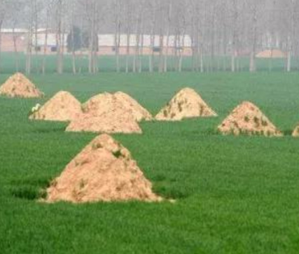 白沙阴宅风水：形峦三十六绝